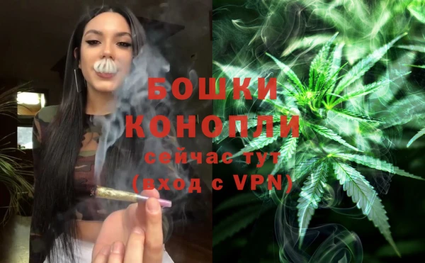 мет Аркадак