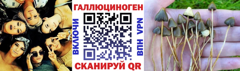 hydra ссылка  Сегежа  Галлюциногенные грибы мухоморы 